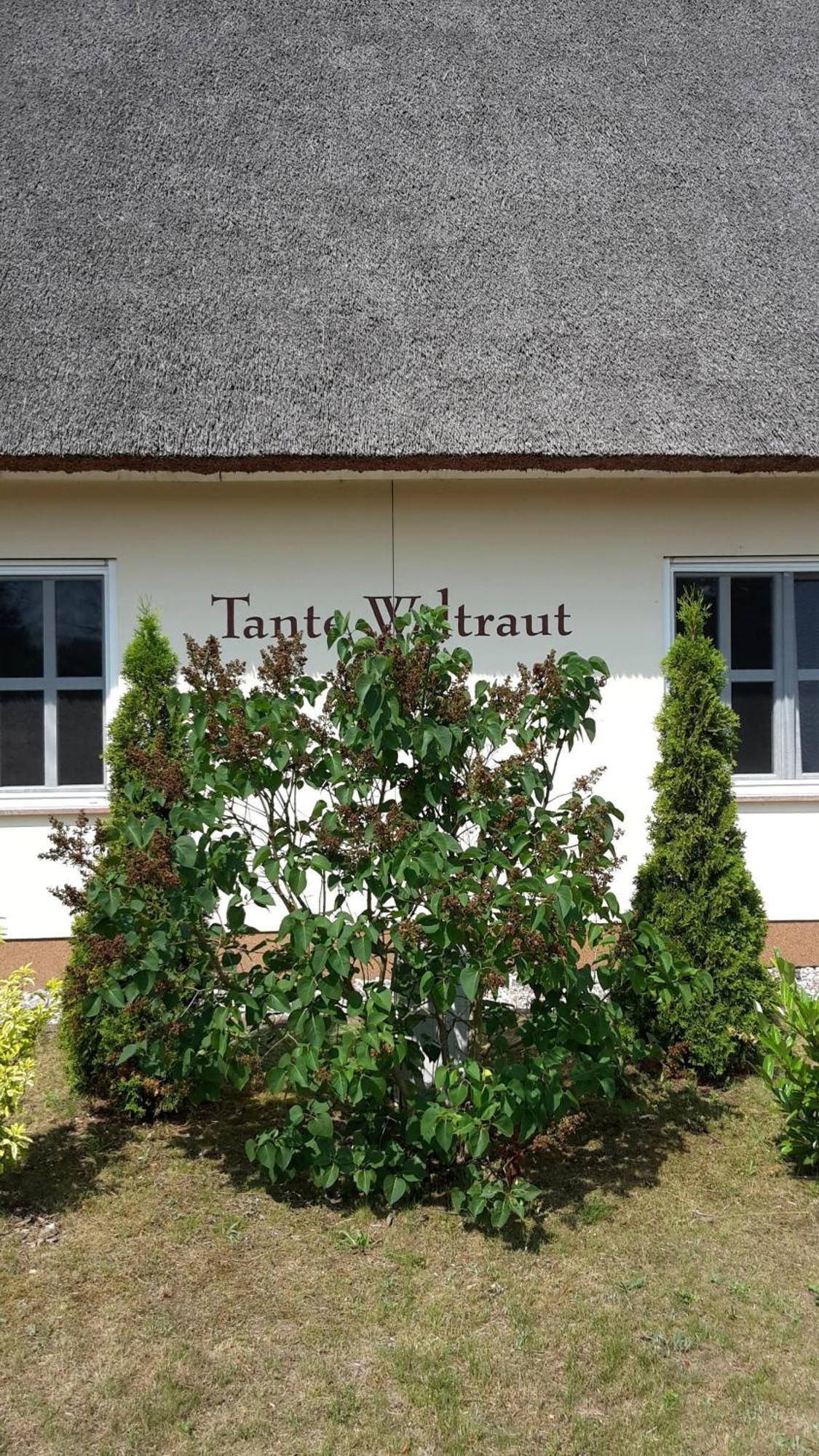 Haeuschen "Tante Waltraut" Villa Garz  Bagian luar foto